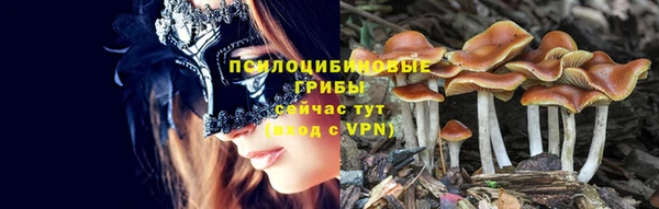 бошки Аркадак