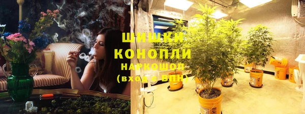 дурь Алзамай