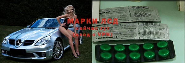 дурь Алзамай